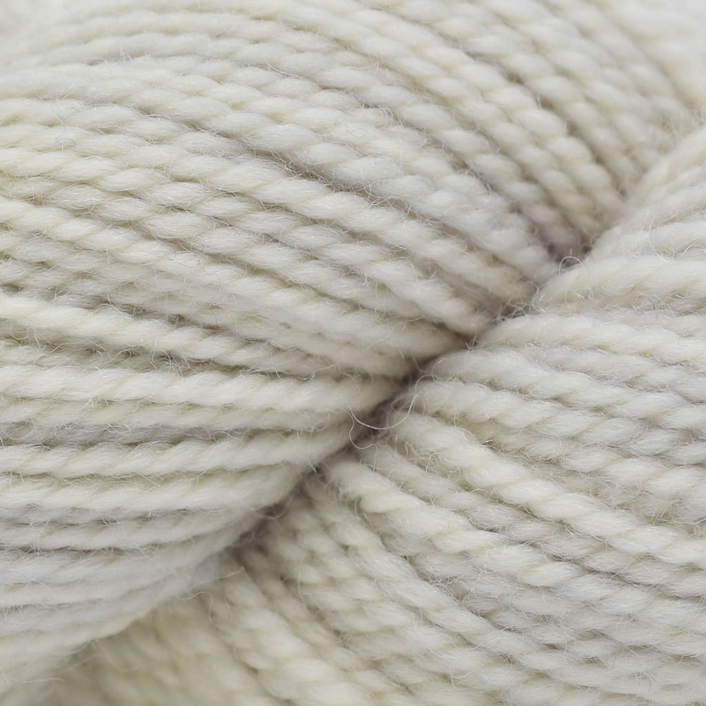 Koigu KPM (3000s) -3011 | Yarn at Michigan Fine Yarns