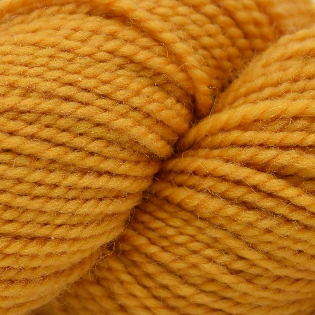 Koigu KPM (5000s) -5224 | Yarn at Michigan Fine Yarns