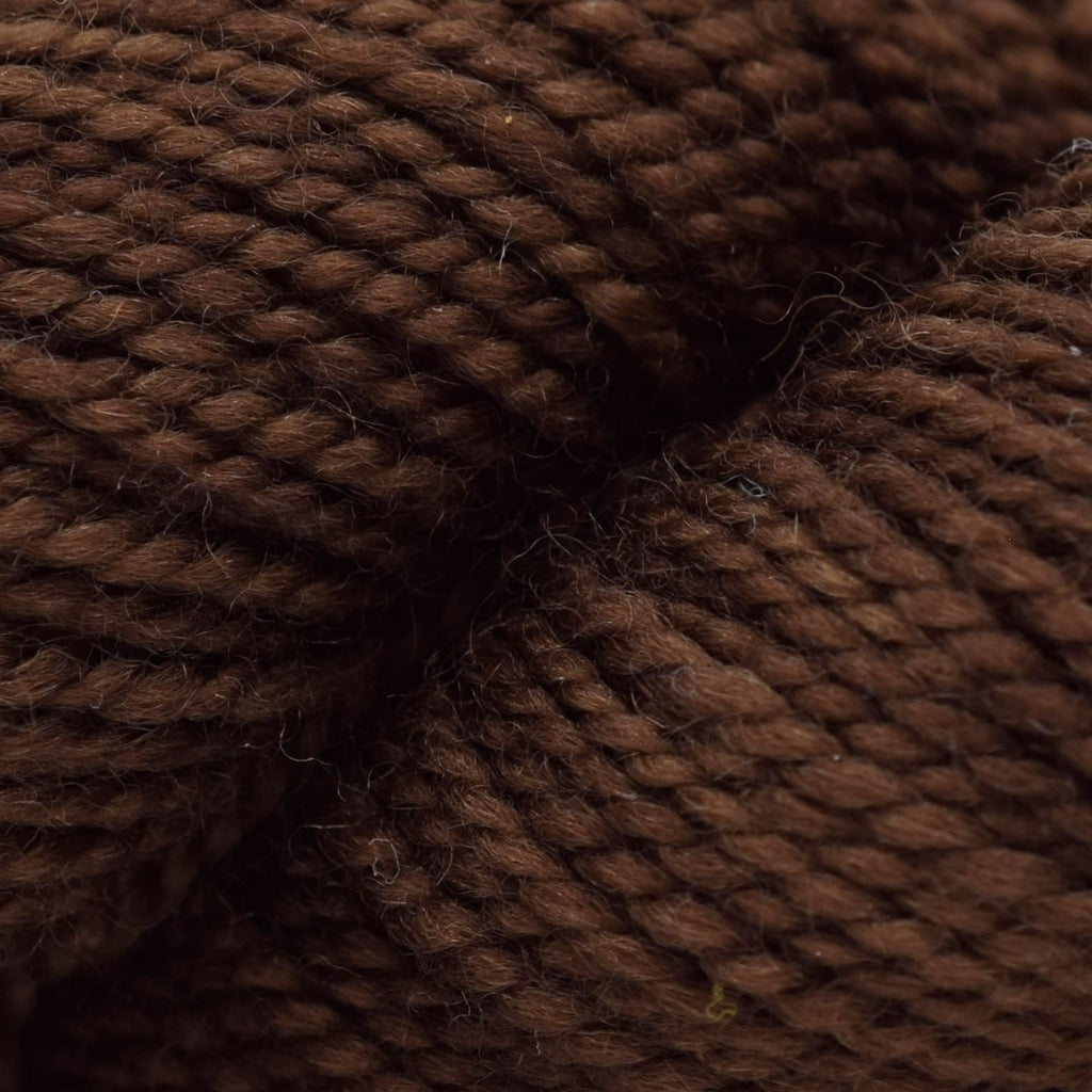 Koigu KPM (5000s) -5320 | Yarn at Michigan Fine Yarns