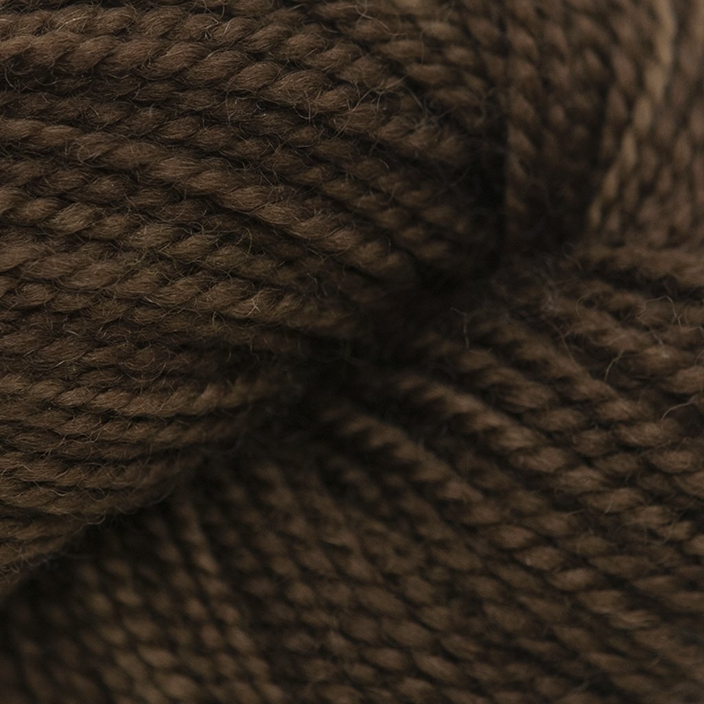 Koigu KPM (5000s) -5326-4 08062506 | Yarn at Michigan Fine Yarns