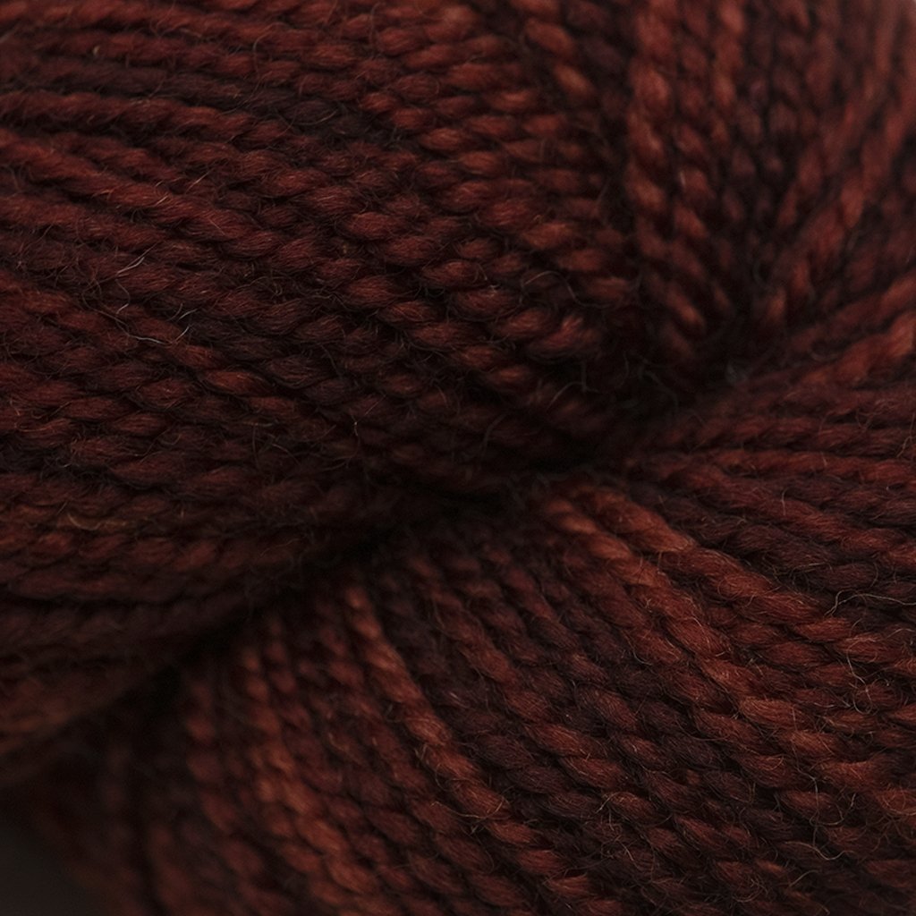 Koigu KPM (5000s) -5340 98844458 | Yarn at Michigan Fine Yarns