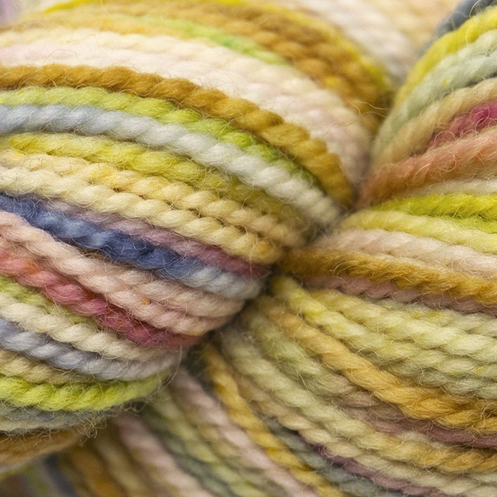 Koigu KPPPM (100s) -P170 18974762 | Yarn at Michigan Fine Yarns