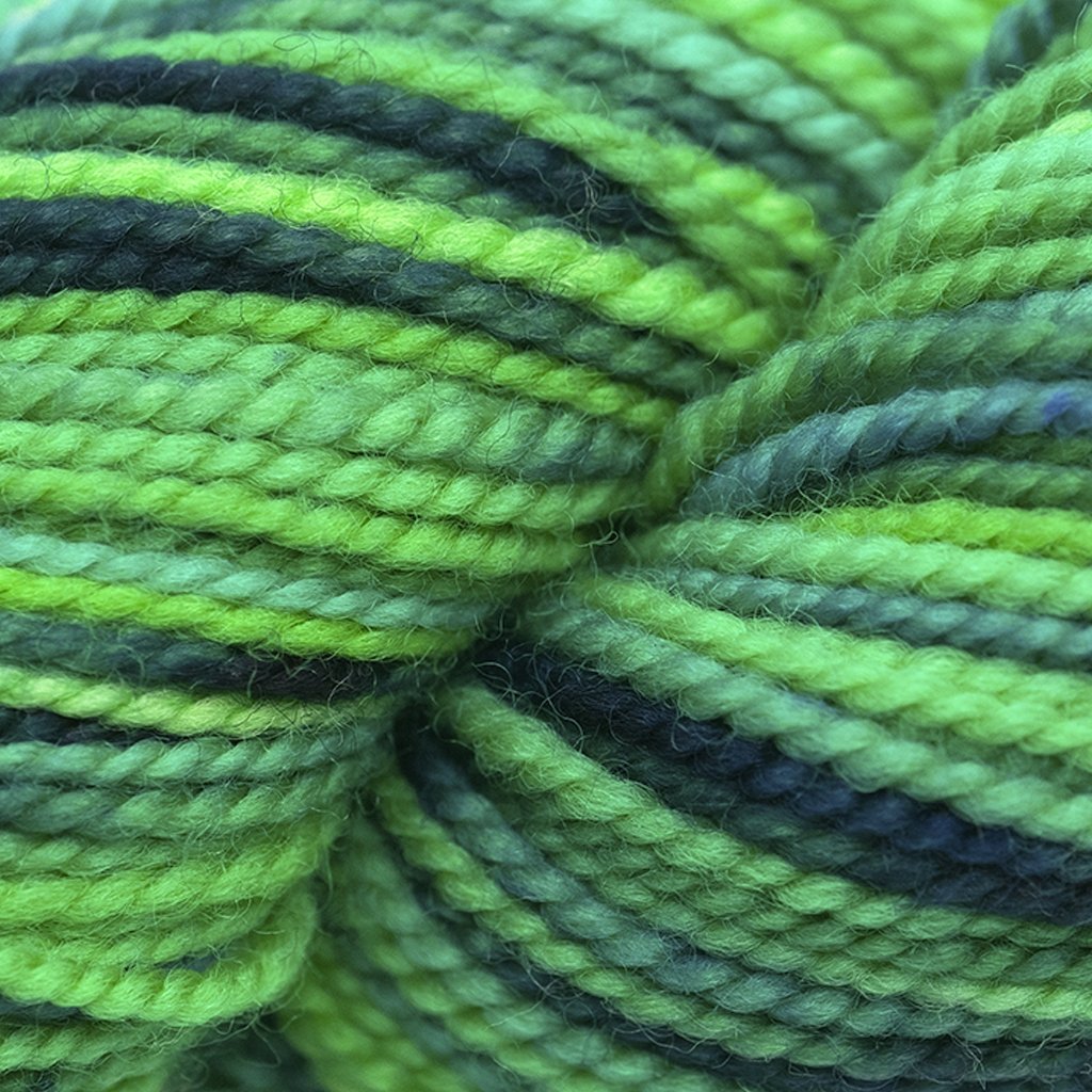 Koigu KPPPM (400s) -P453 20580394 | Yarn at Michigan Fine Yarns