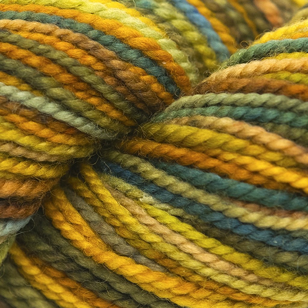 Koigu KPPPM (500s) -P506A 26544170 | Yarn at Michigan Fine Yarns