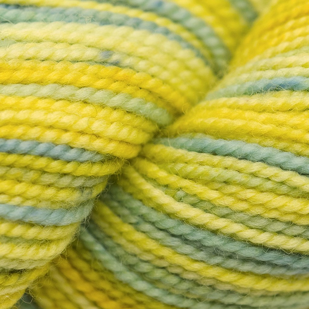 Koigu KPPPM (500s) -P521 26773546 | Yarn at Michigan Fine Yarns