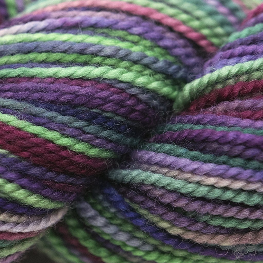 Koigu KPPPM (500s) -P527 26871850 | Yarn at Michigan Fine Yarns