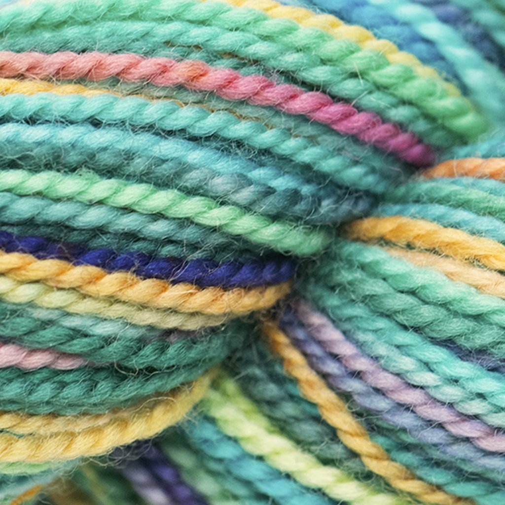 Koigu KPPPM (500s) -P530L 26937386 | Yarn at Michigan Fine Yarns