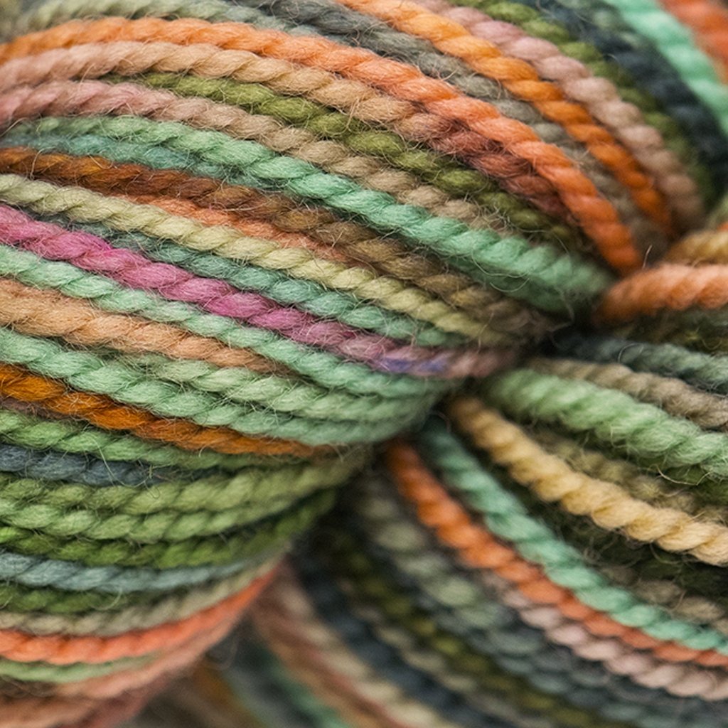 Koigu KPPPM (500s) -P566 94349354 | Yarn at Michigan Fine Yarns