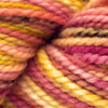 Koigu KPPPM (600s) -P611A 65916714 | Yarn at Michigan Fine Yarns
