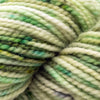 Koigu KPPPM (700s) -P731 11896874 | Yarn at Michigan Fine Yarns
