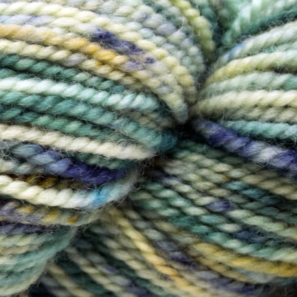 Koigu KPPPM (700s) -P736 10694698 | Yarn at Michigan Fine Yarns