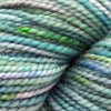 Koigu KPPPM (700s) -P743 12027946 | Yarn at Michigan Fine Yarns