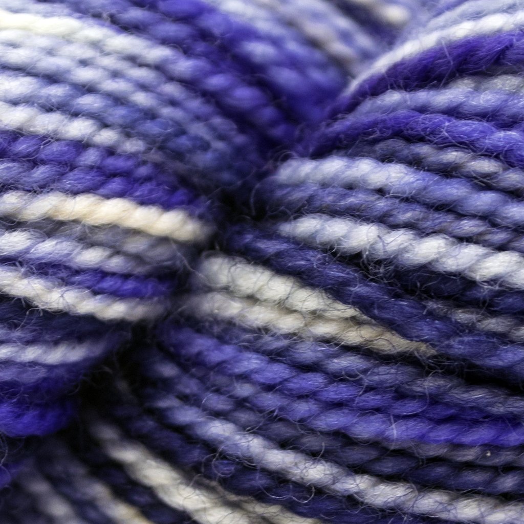 Koigu KPPPM (800s) -P809 14977066 | Yarn at Michigan Fine Yarns