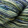 Koigu KPPPM (800s) -P811 82361386 | Yarn at Michigan Fine Yarns