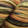 Koigu KPPPM (800s) -P812L 82689066 | Yarn at Michigan Fine Yarns