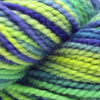 Koigu KPPPM (800s) -P819 11328298 | Yarn at Michigan Fine Yarns