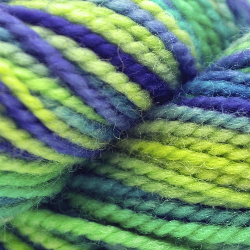 Koigu KPPPM (800s) -P819 11328298 | Yarn at Michigan Fine Yarns