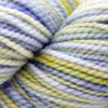 Koigu KPPPM (800s) -P822-271 11393834 | Yarn at Michigan Fine Yarns