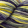 Koigu KPPPM (800s) -P822-284 11361066 | Yarn at Michigan Fine Yarns