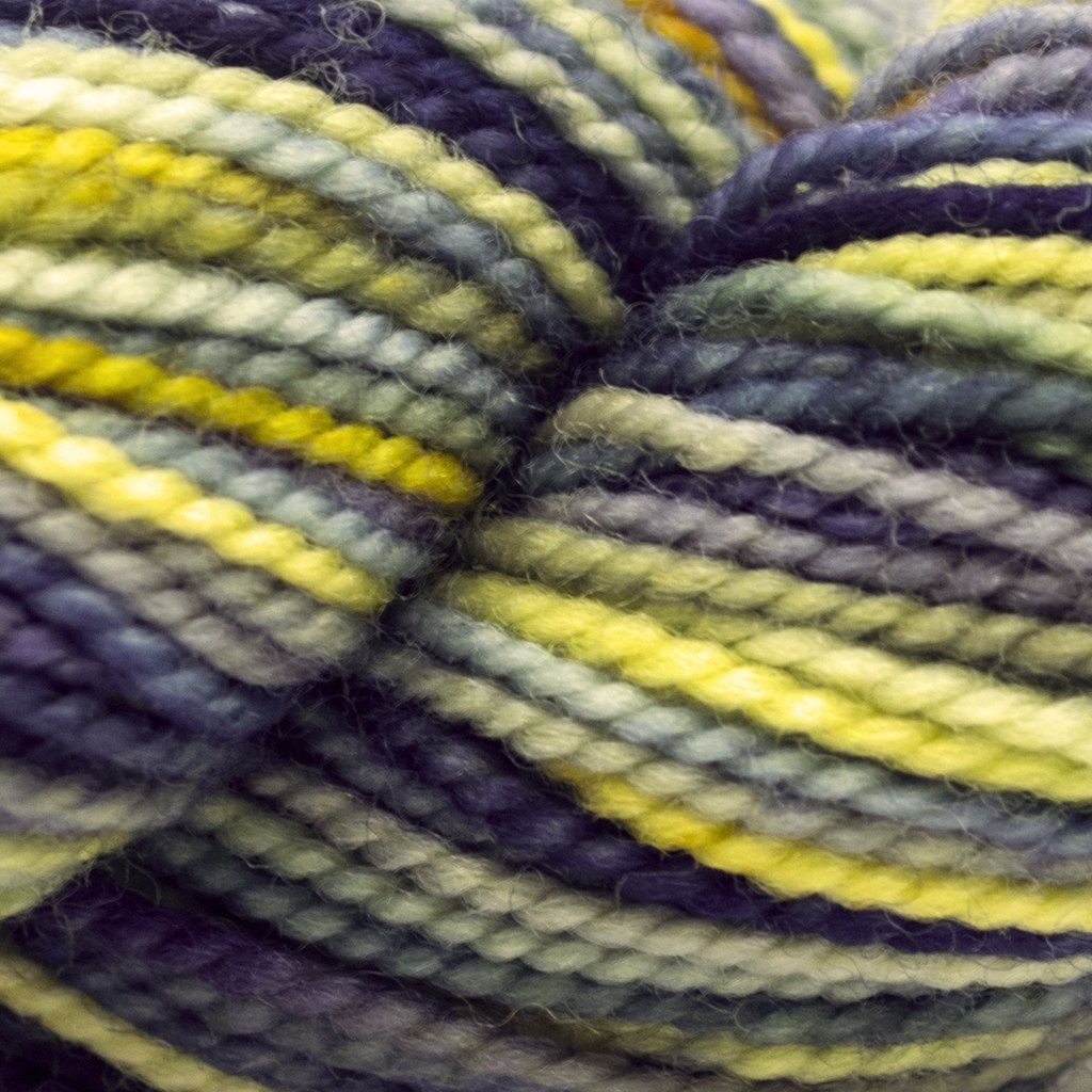 Koigu KPPPM (800s) -P822-284 11361066 | Yarn at Michigan Fine Yarns