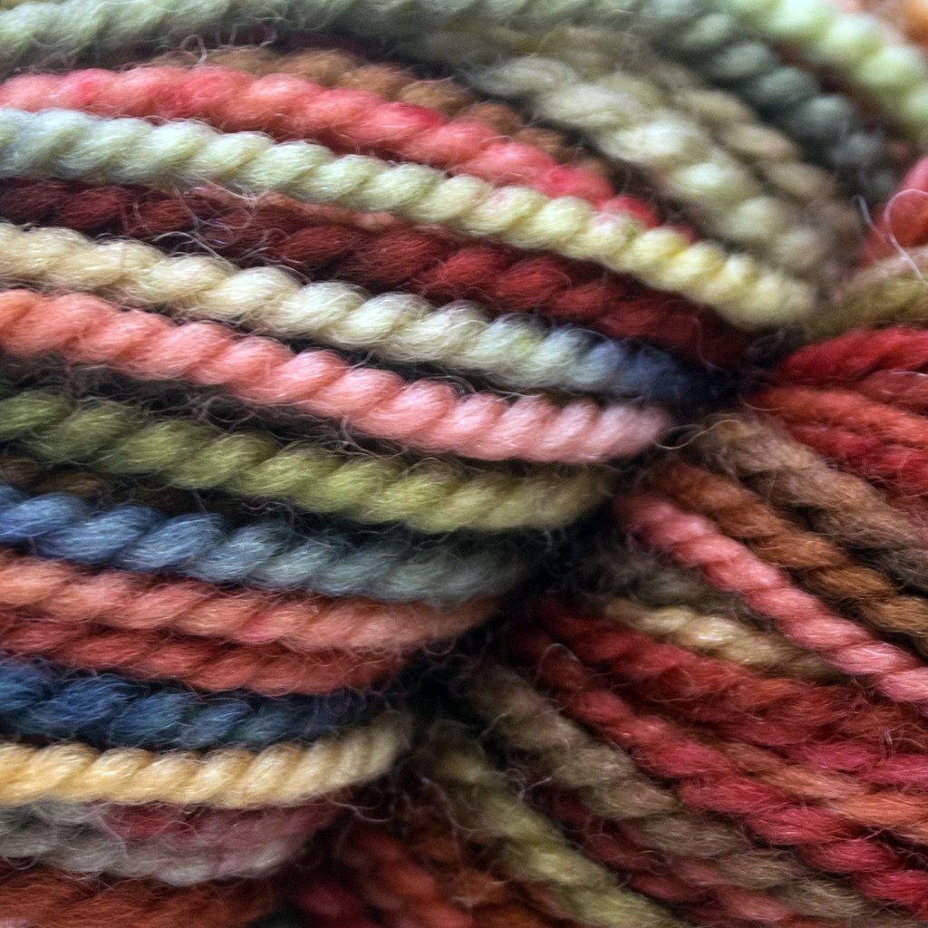 Koigu KPPPM (800s) -P848 11557674 | Yarn at Michigan Fine Yarns
