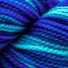 Koigu KPPPM (800s) -P850 15730730 | Yarn at Michigan Fine Yarns