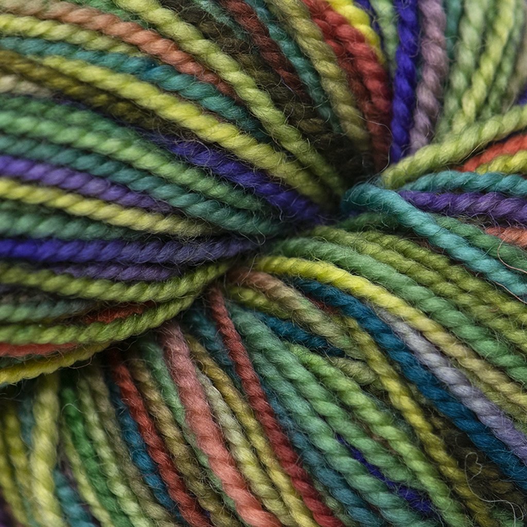 Koigu KPPPM (800s) -P863-70 99772202 | Yarn at Michigan Fine Yarns