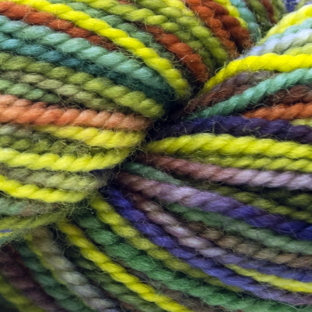 Koigu KPPPM (800s) -P863X 16058410 | Yarn at Michigan Fine Yarns