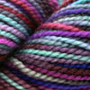 Koigu KPPPM (800s) -P869 11754282 | Yarn at Michigan Fine Yarns