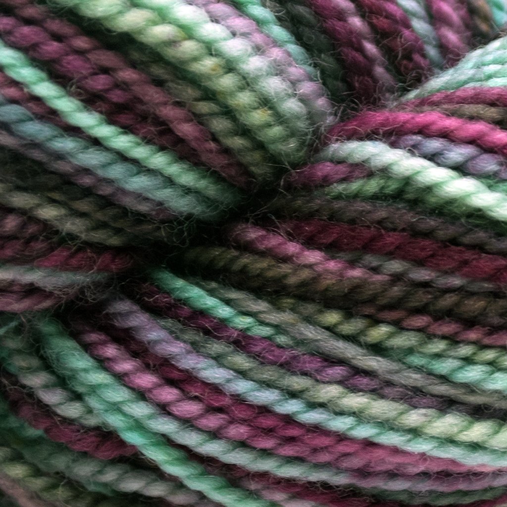 Koigu KPPPM (800s) -P874-26 11852586 | Yarn at Michigan Fine Yarns
