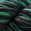 Koigu KPPPM (800s) -P874-30 11885354 | Yarn at Michigan Fine Yarns