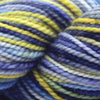 Koigu KPPPM (800s) -P875 16189482 | Yarn at Michigan Fine Yarns