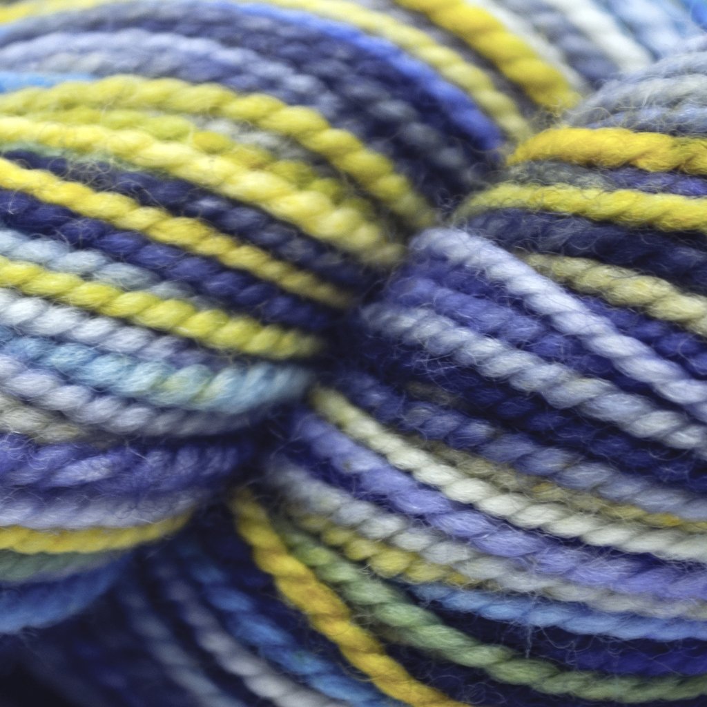 Koigu KPPPM (800s) -P875 16189482 | Yarn at Michigan Fine Yarns