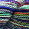 Koigu KPPPM (800s) -P884 11983658 | Yarn at Michigan Fine Yarns