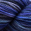 Koigu KPPPM (800s) -P886 12016426 | Yarn at Michigan Fine Yarns