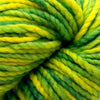Koigu Othello Merino -2339 20492074 | Yarn at Michigan Fine Yarns