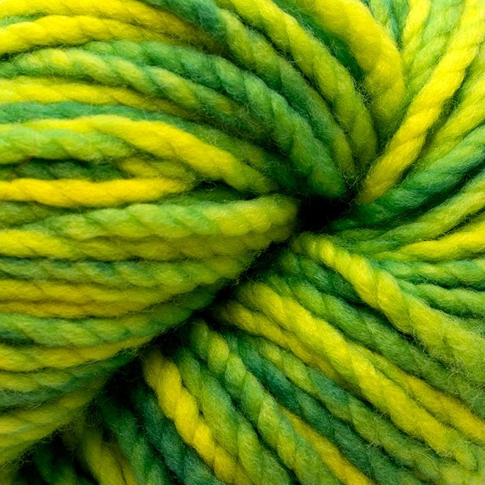 Koigu Othello Merino -2339 20492074 | Yarn at Michigan Fine Yarns