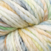 Koigu Othello Merino -April Shower 32638506 | Yarn at Michigan Fine Yarns
