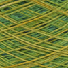 Laines Du Nord Watercolor Sock -100 - Brown/Blue/Green/Yellow | Yarn at Michigan Fine Yarns