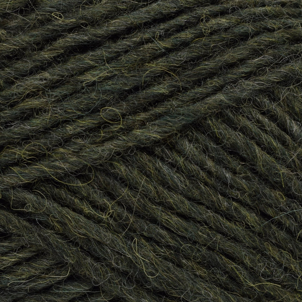 Lopi Lopi Léttlopi -1407 - Pine Green Heather 5690866314073 | Yarn at Michigan Fine Yarns