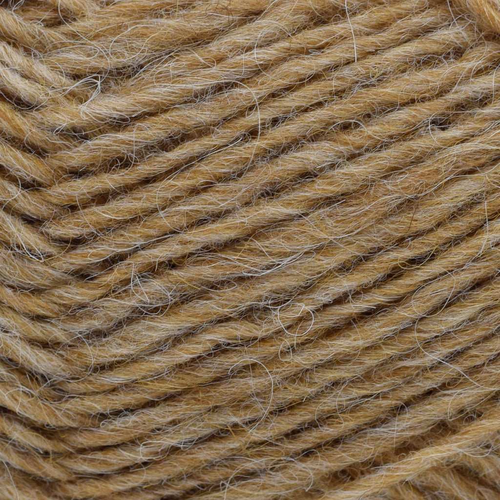 Lopi Lopi Léttlopi -1419 - Barley 5690866314196 | Yarn at Michigan Fine Yarns
