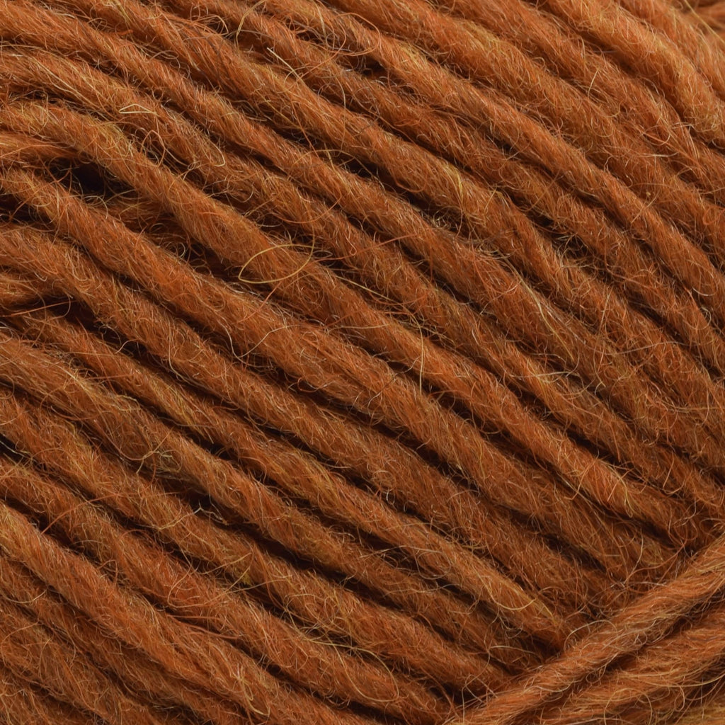 Lopi Lopi Léttlopi -1704 - Apricot 5690866317043 | Yarn at Michigan Fine Yarns