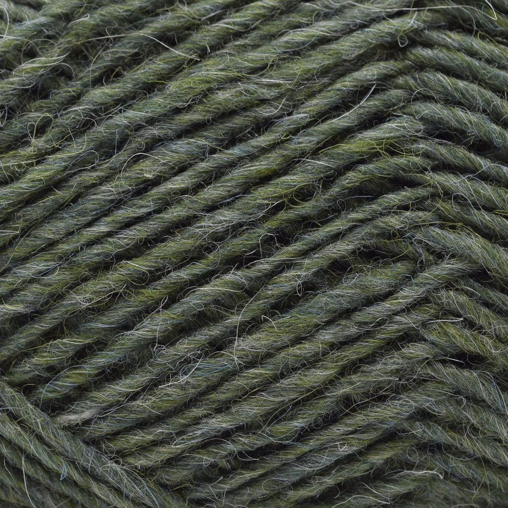 Lopi Lopi Léttlopi -1706 - Lyme Grass | Yarn at Michigan Fine Yarns