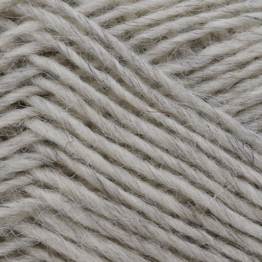 Lopi Lopi Léttlopi -54 - Ash 5690866300540 | Yarn at Michigan Fine Yarns
