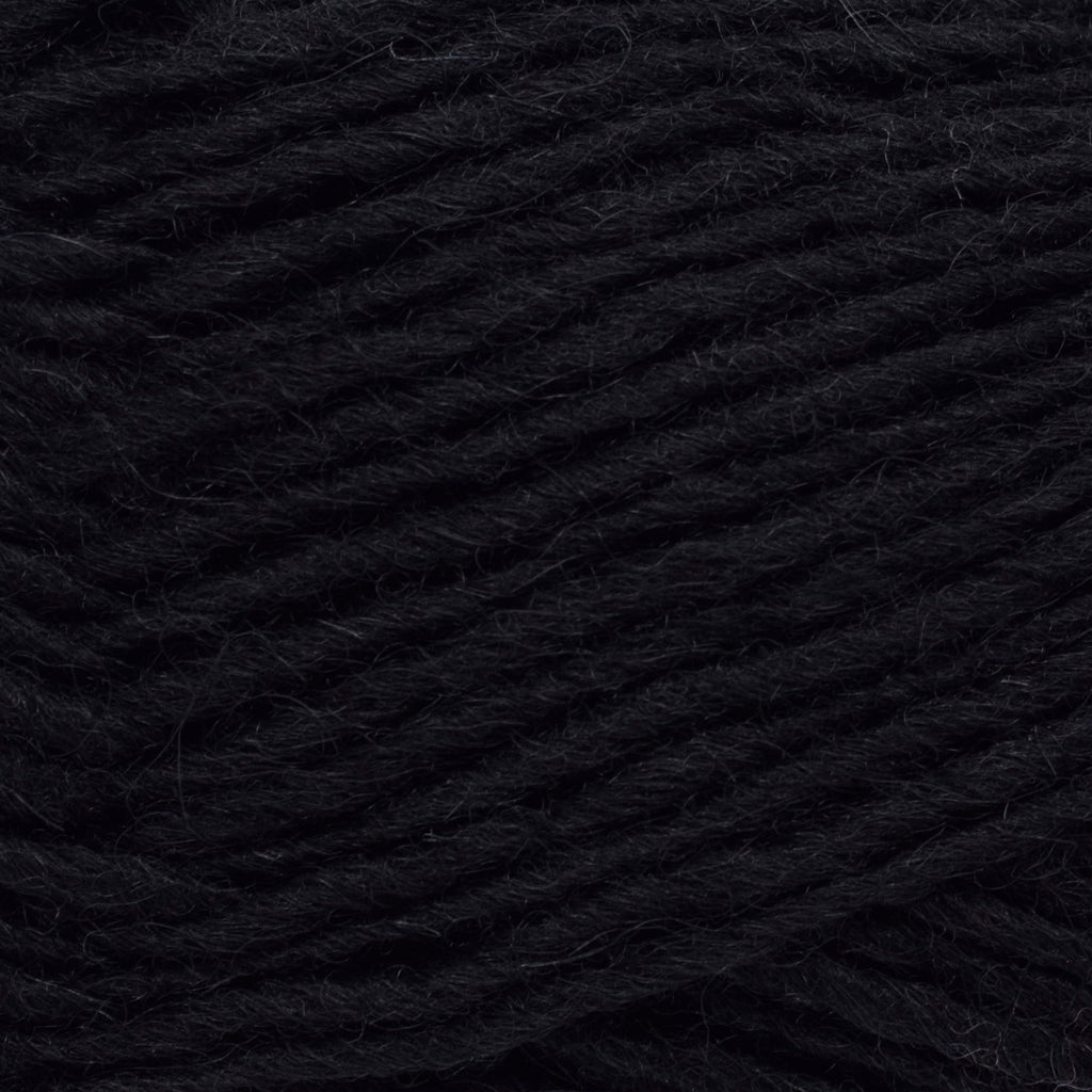Lopi Lopi Léttlopi -59 - Black 5690866300595 | Yarn at Michigan Fine Yarns