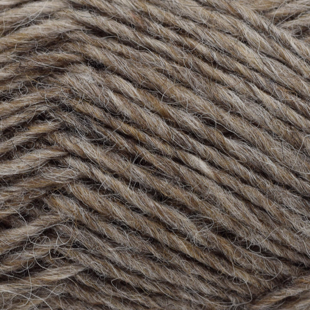 Lopi Lopi Léttlopi -85 - Oatmeal 5690866300854 | Yarn at Michigan Fine Yarns