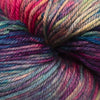 Malabrigo Arroyo at Michigan Fine Yarns