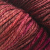 Malabrigo Arroyo -49 - Jupiter 89327658 | Yarn at Michigan Fine Yarns