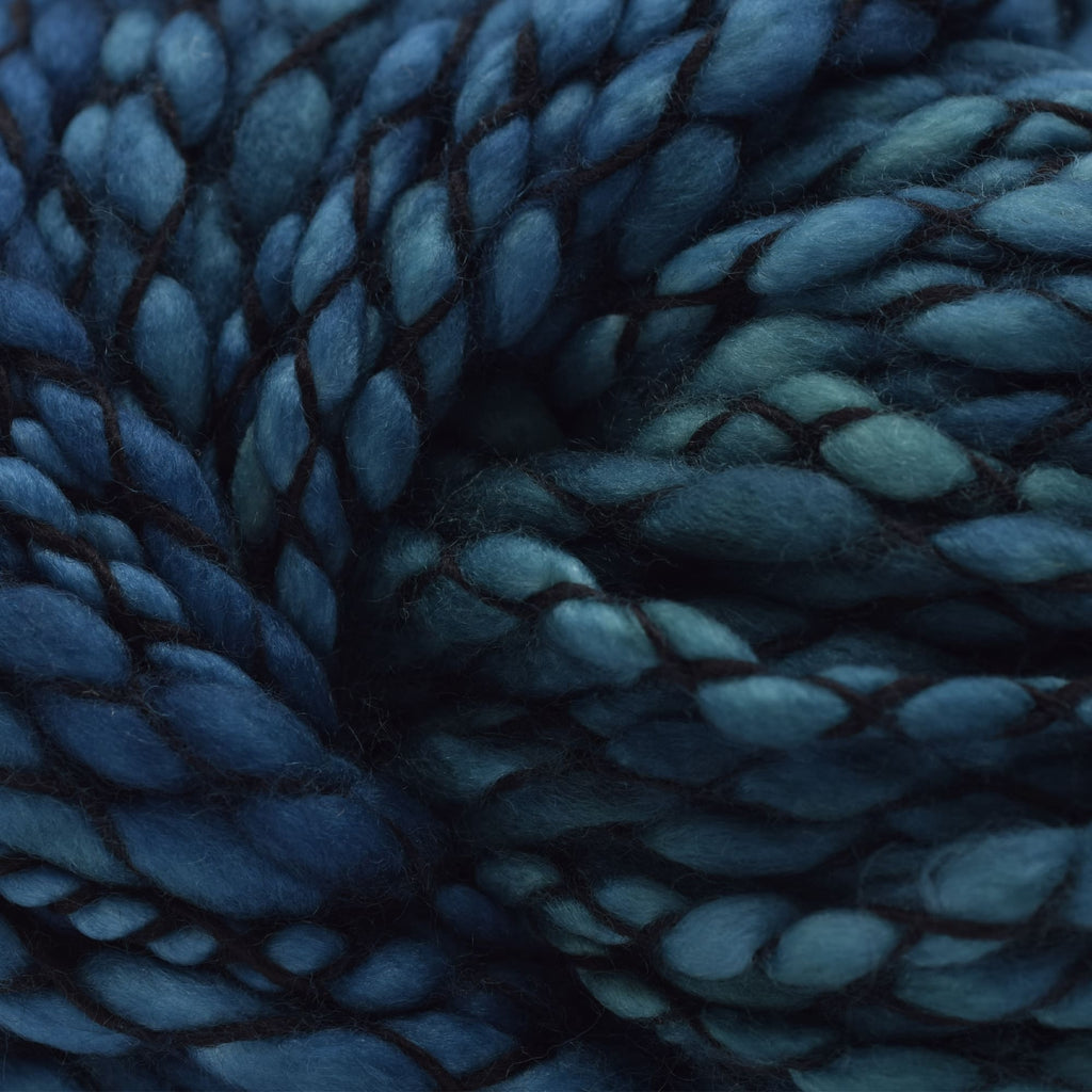 Malabrigo Caracol -412 - Teal Feather | Yarn at Michigan Fine Yarns