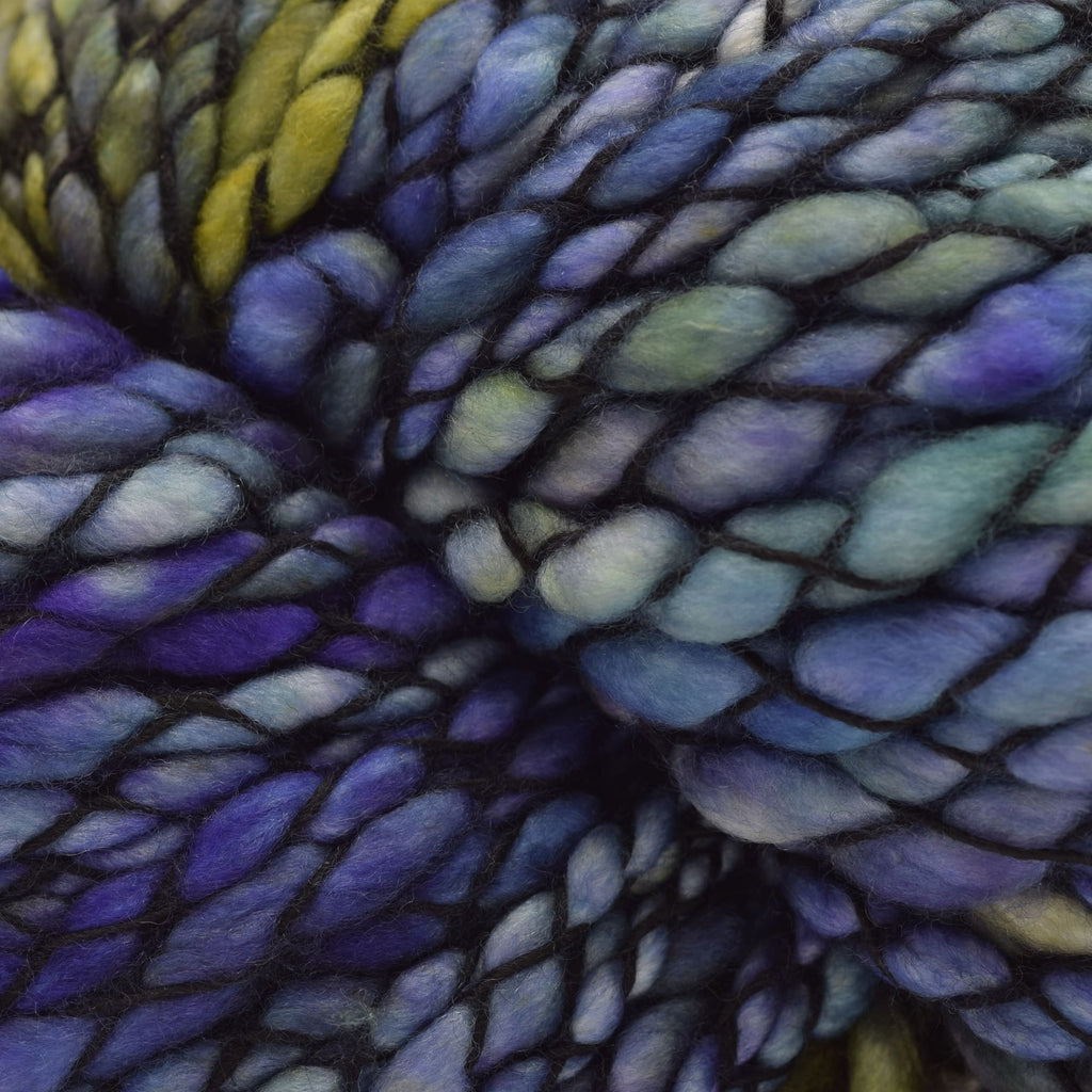 Malabrigo Caracol -417 - Indiecita | Yarn at Michigan Fine Yarns